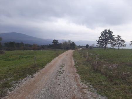 Dolnja Košana protipožarna preseka